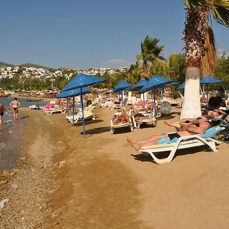 Siesta 3* Gümbet