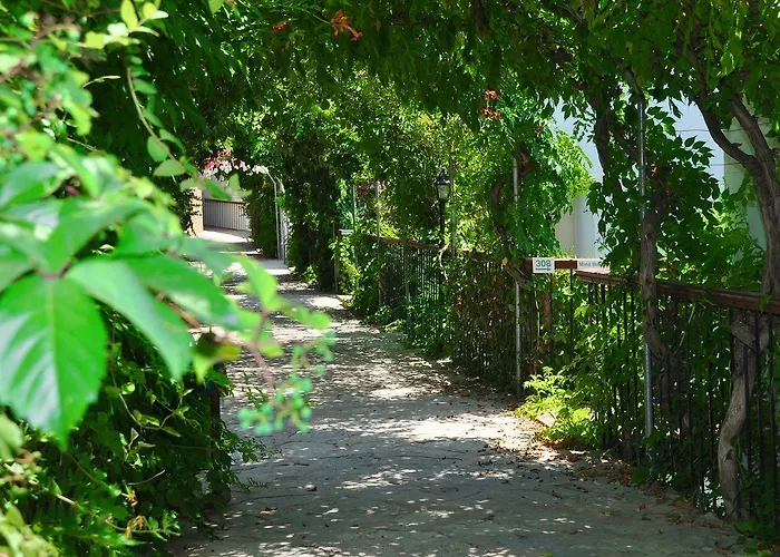Siesta 3* Bodrum
