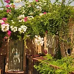 Aparthotel Siesta