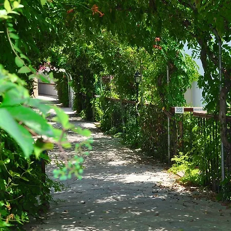 Siesta 3* Bodrum