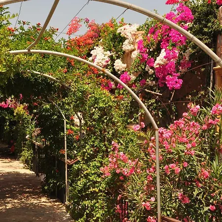 Siesta Appart hôtel 3*